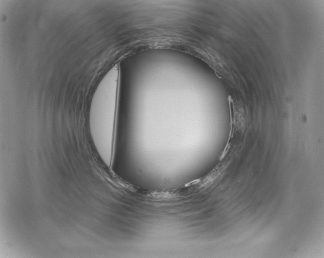 X0000076300766200609290729