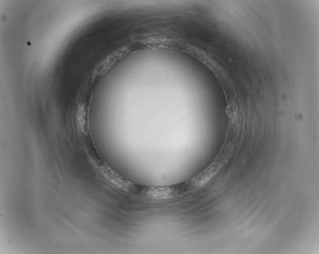 X0000076300767200609290729