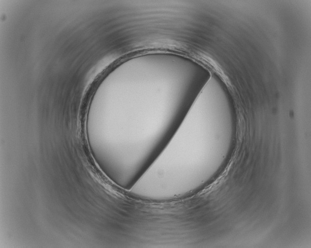 X0000076300780200609290728
