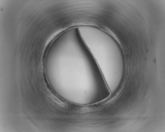X0000076300787200609290728