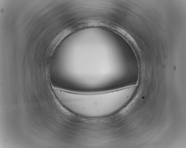 X0000076300801200609290728