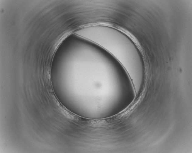 X0000076300809200609290727