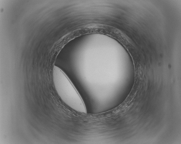 X0000076300821200609290727