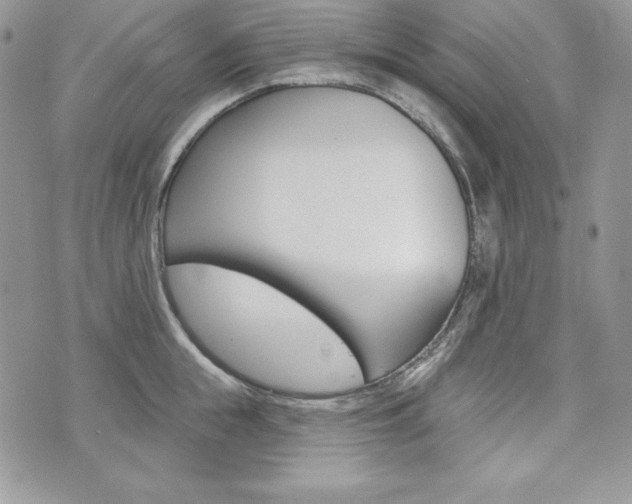 X0000076300855200609290727