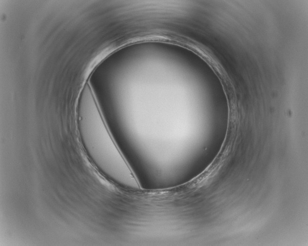 X0000076300858200609290727