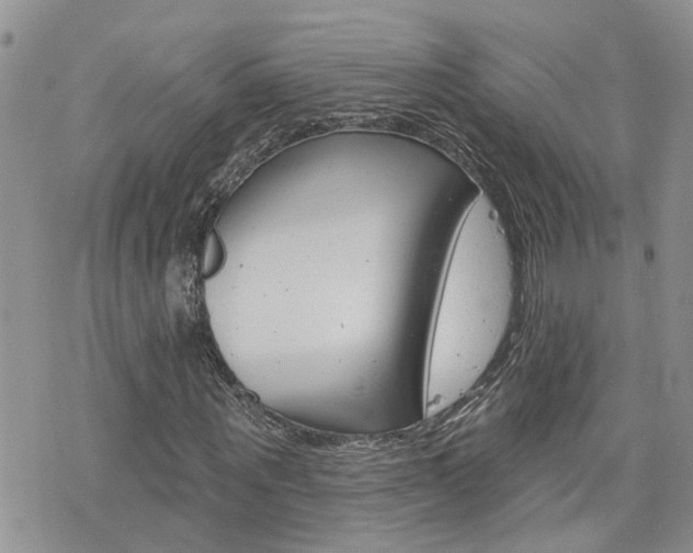 X0000076300867200609290726