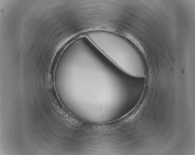X0000076300876200609290726
