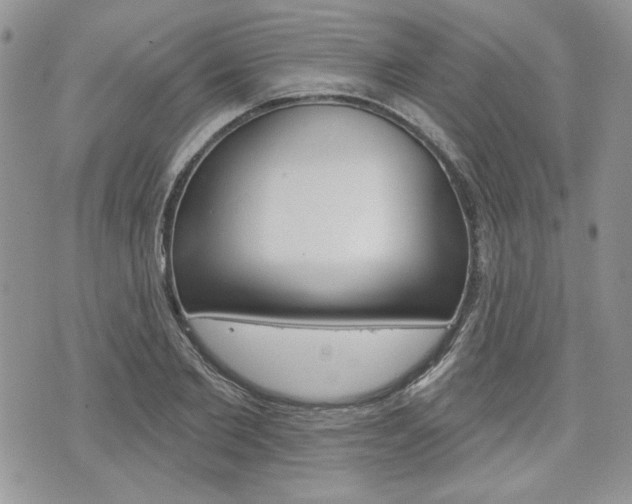 X0000076300885200609290726