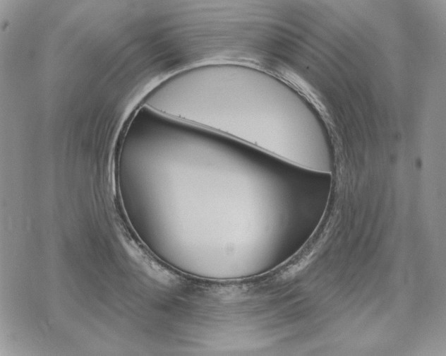 X0000076300892200609290726