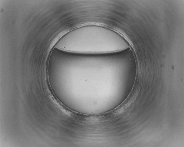 X0000076300898200609290726