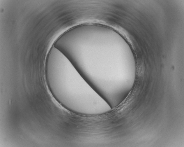 X0000076300903200609290726