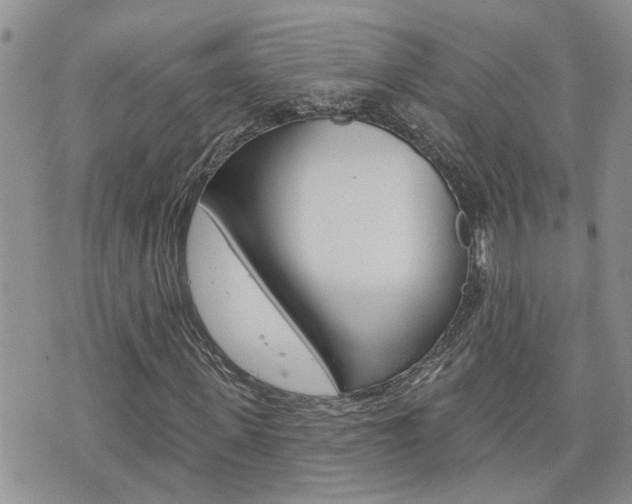 X0000076300915200609290725