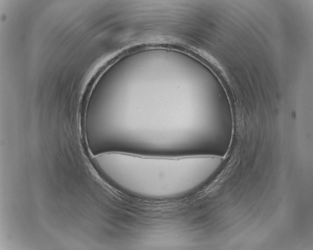 X0000076300935200609290725