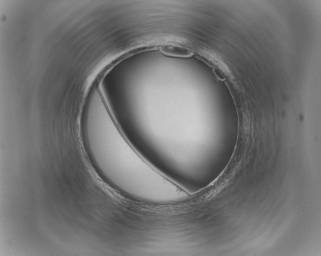 X0000076300936200609290725