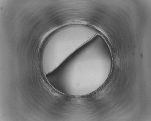 X0000076300971200609290725