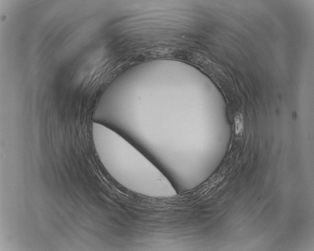X0000076301011200609290723