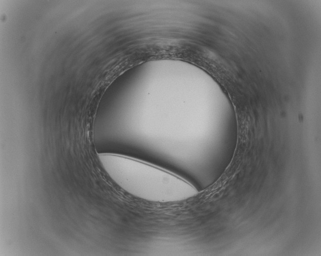 X0000076301013200609290723
