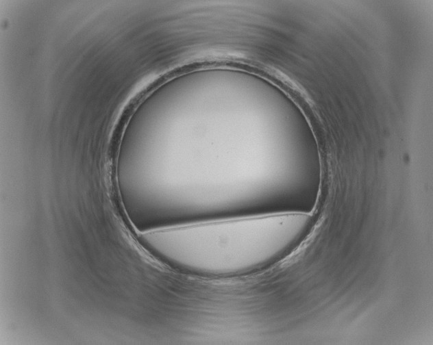 X0000076301029200609290724