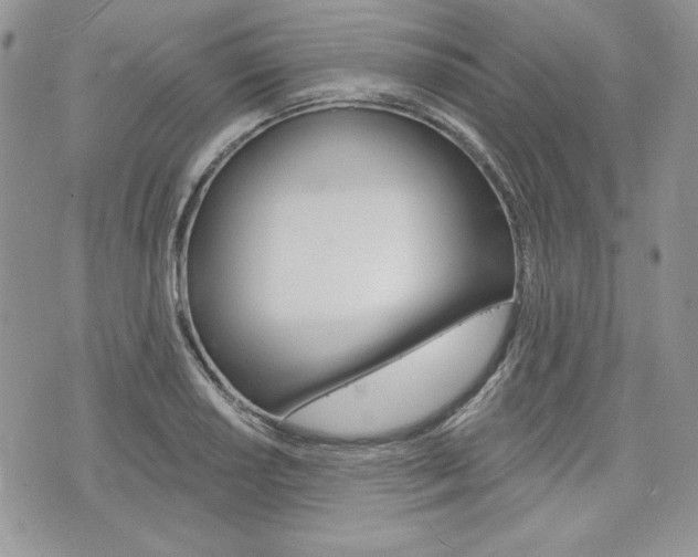 X0000076301034200609290724