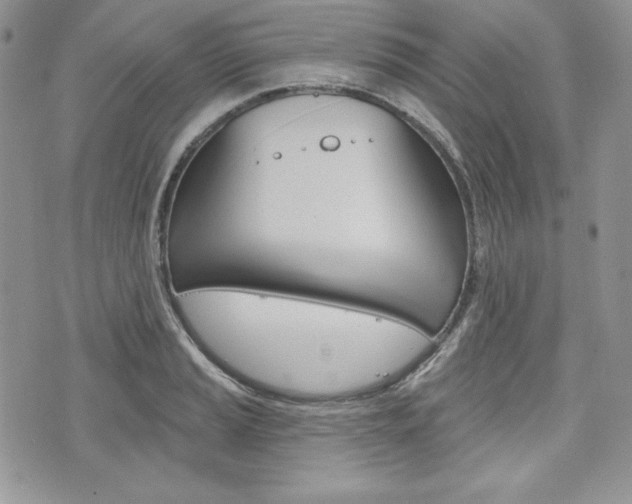 X0000076301037200609290724