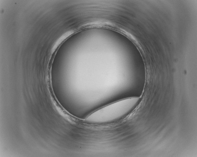 X0000076301042200609290724