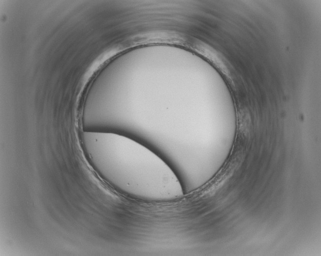 X0000076301043200609290724