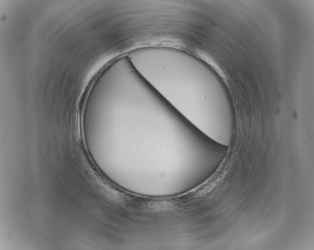 X0000076301079200609290723
