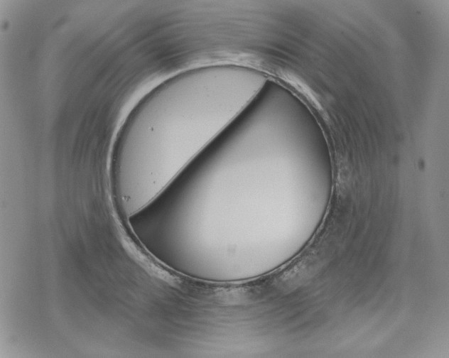 X0000076301080200609290723