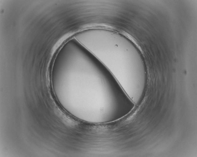 X0000076301082200609290723