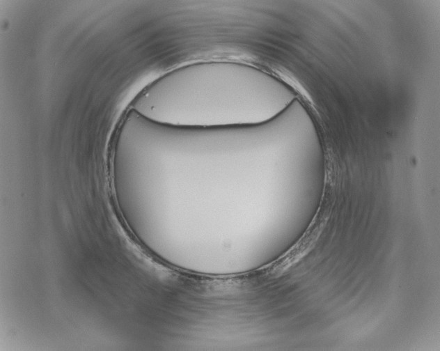 X0000076301087200609290723