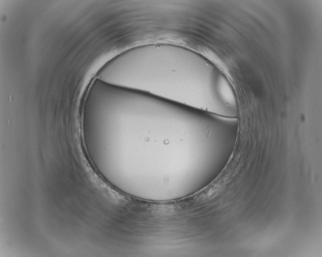 X0000076301088200609290723