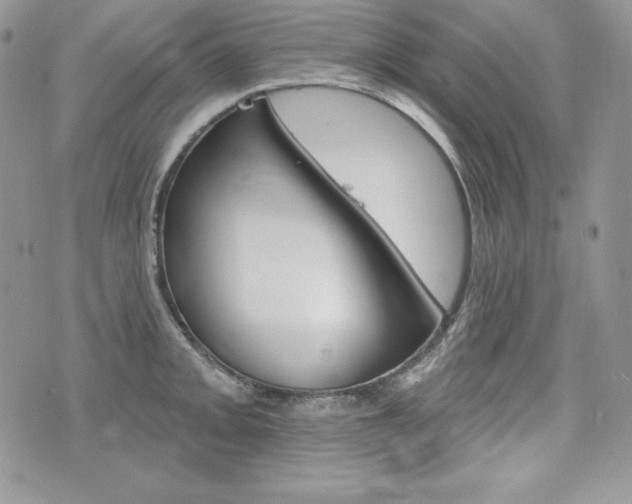 X0000076301093200609290723