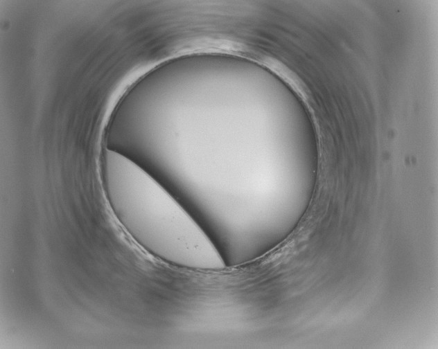 X0000076301104200609290723