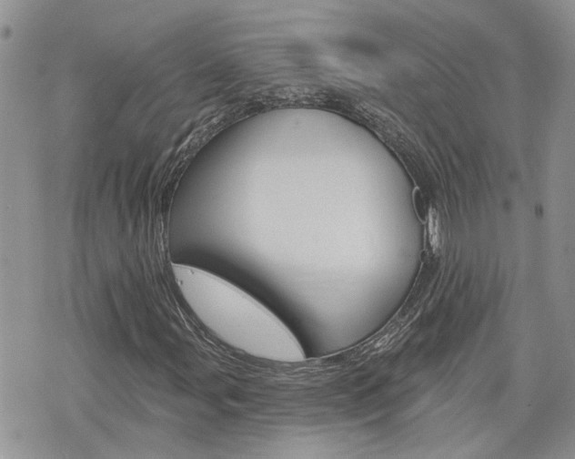 X0000076301107200609290722