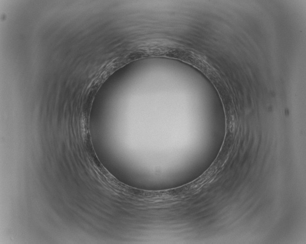 X0000076301108200609290722