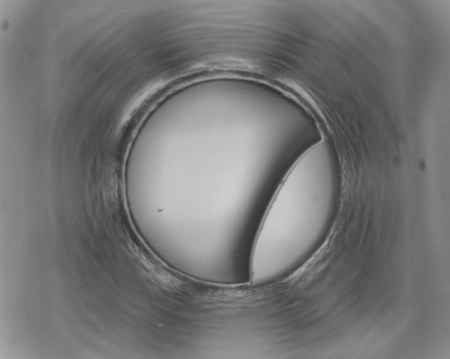 X0000076301115200609290722