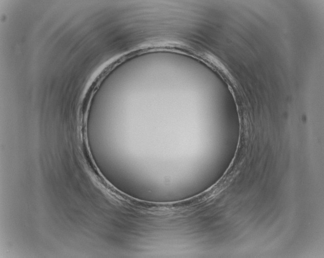 X0000076301124200609290722