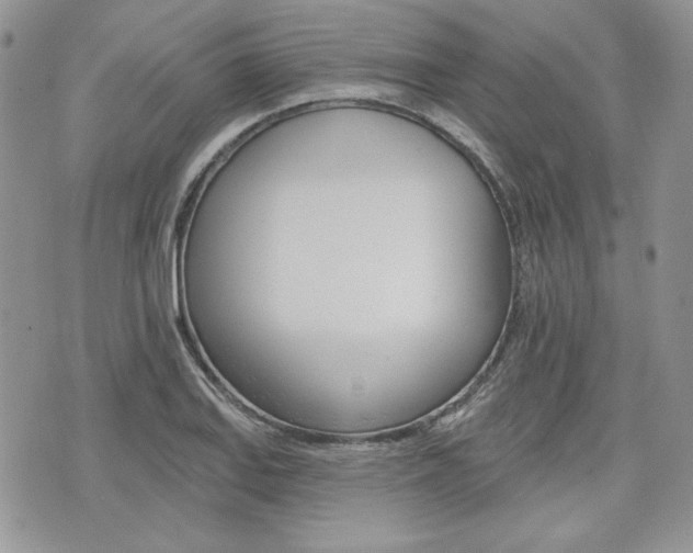 X0000076301127200609290722