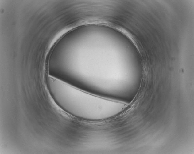 X0000076301147200609290722
