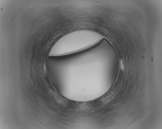 X0000076301155200609290722