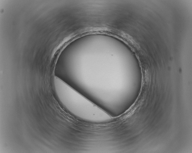 X0000076301165200609290722