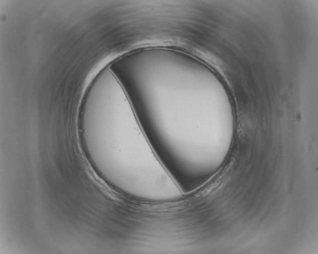 X0000076301179200609290721