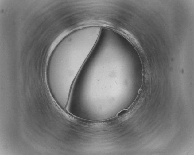 X0000076301188200609290721