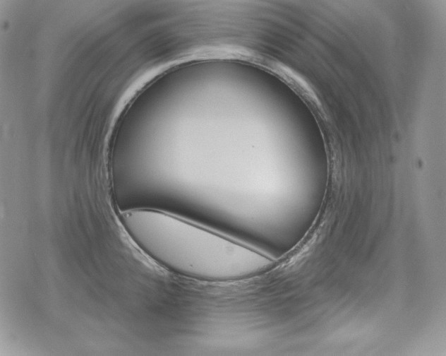 X0000076301192200609290721