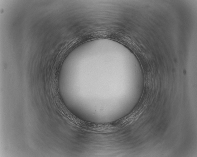 X0000076301201200609290720