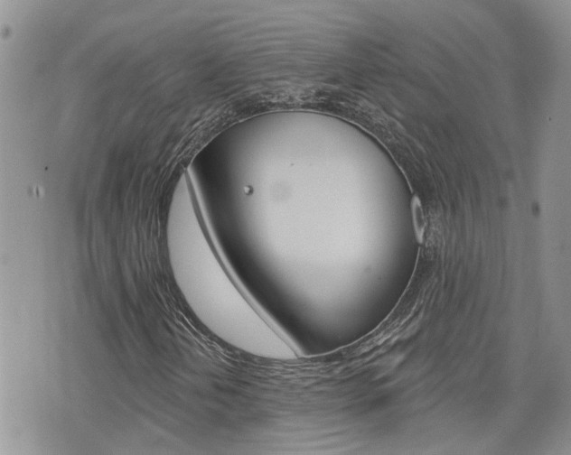 X0000076301202200609290720