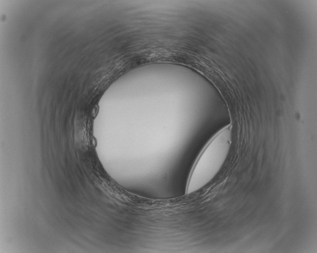 X0000076301250200609290720