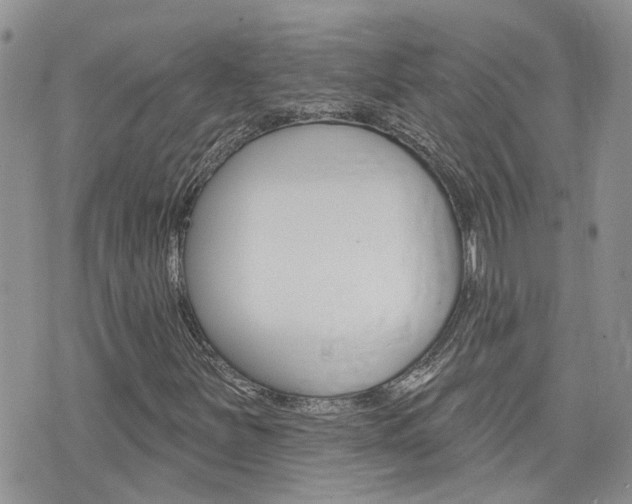 X0000076301251200609290720