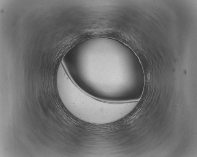 X0000076301300200609290719