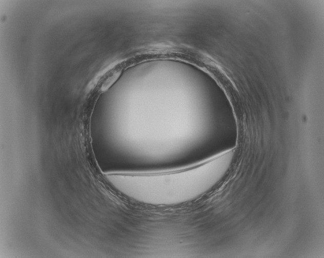 X0000076301304200609290719